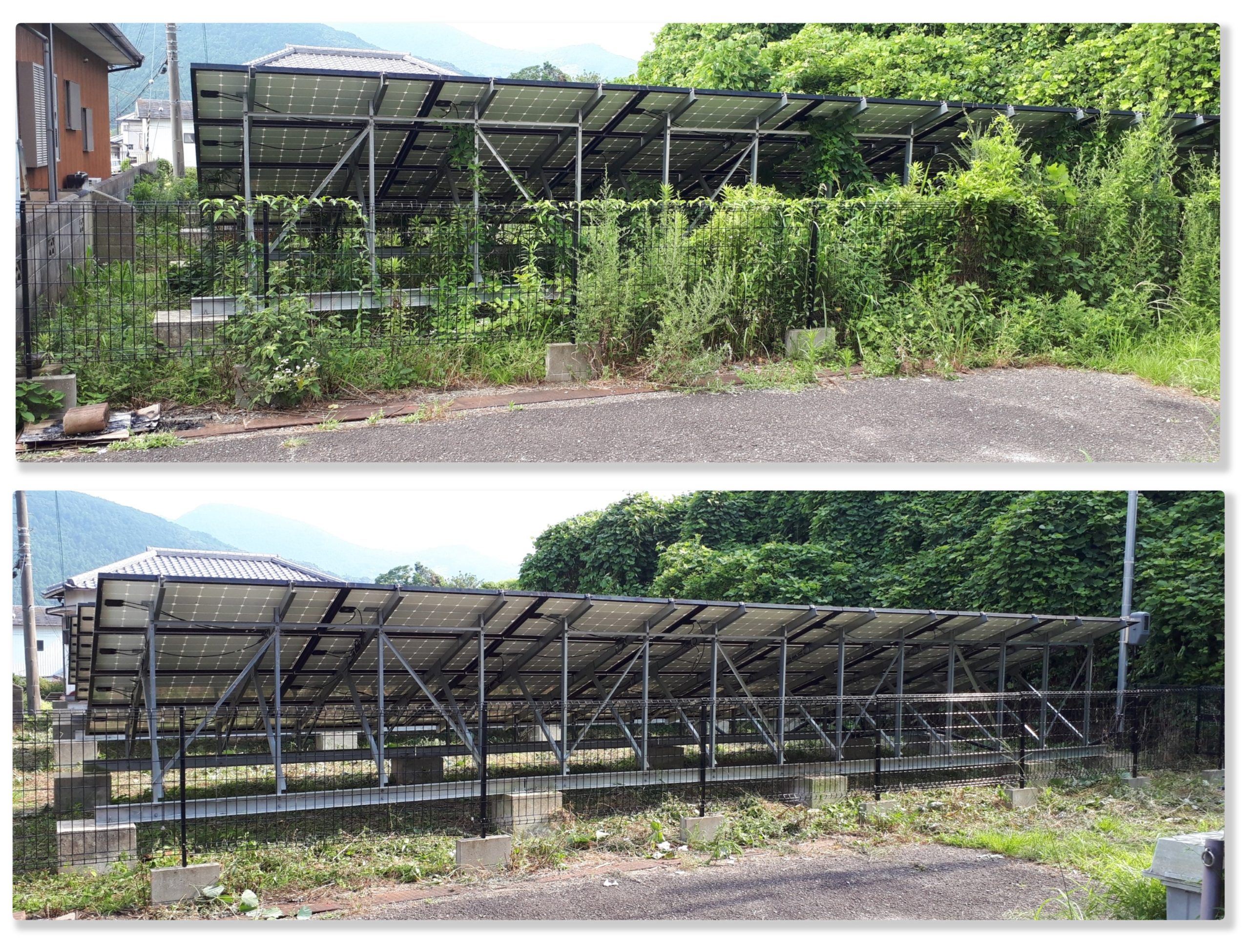 太陽光パネル前の草刈り