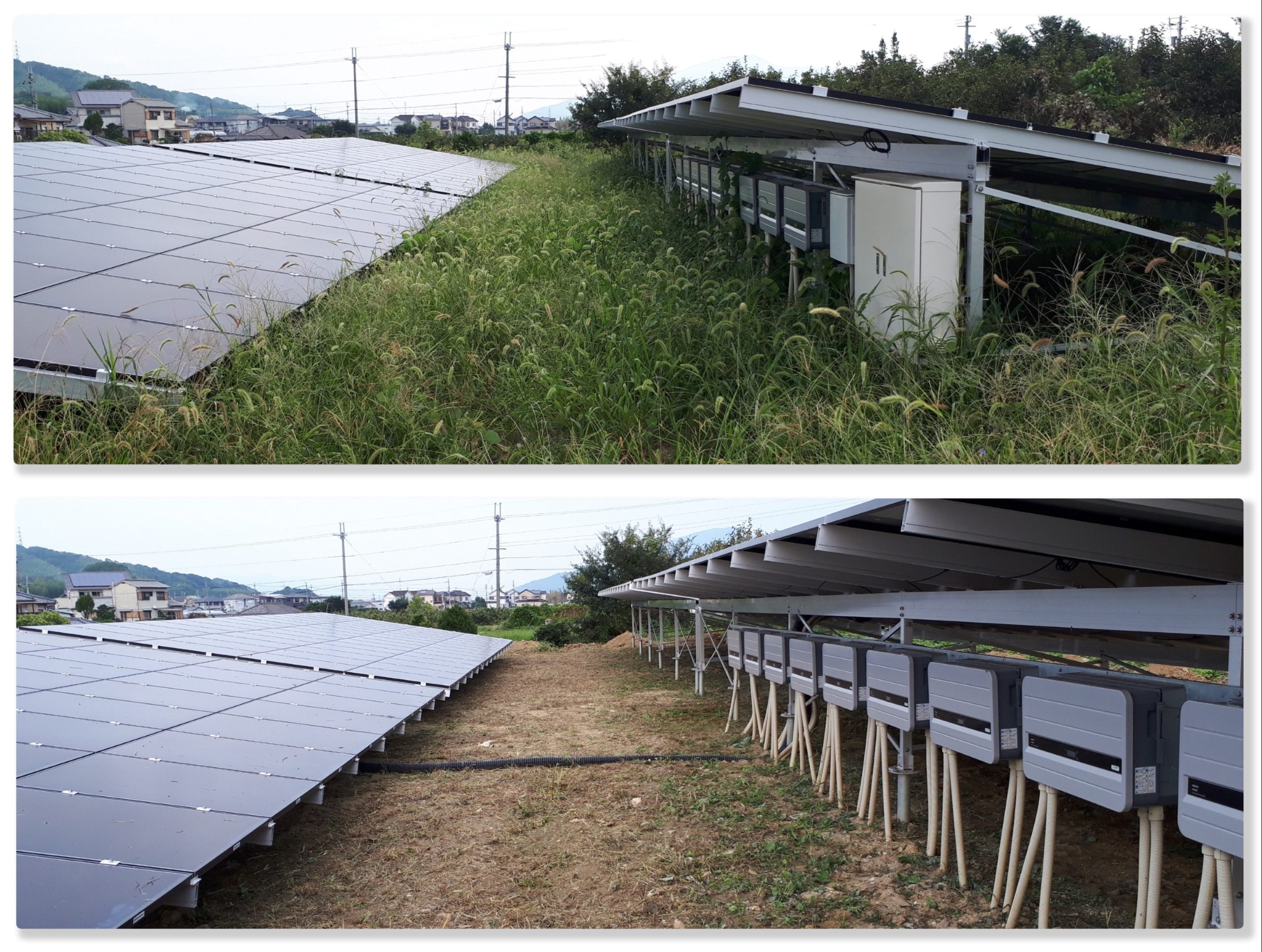 太陽光パネルの草刈り
