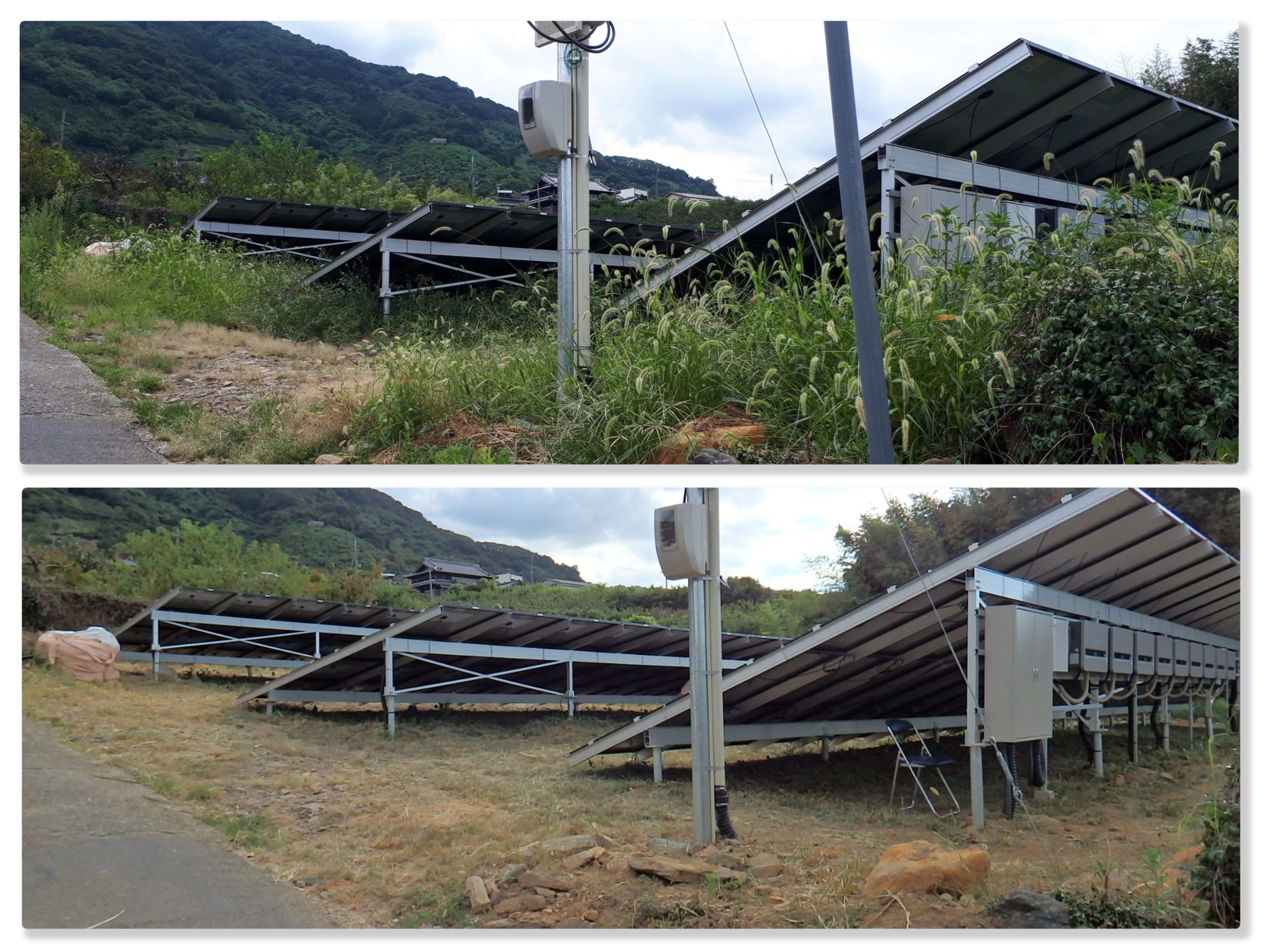 太陽光発電の草刈り