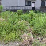 和歌山市西浜の和工近くにて草刈り