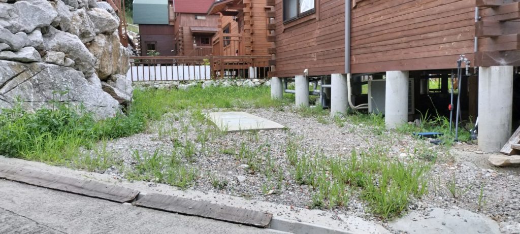 🌿✨ 別荘の草刈り＆除草作業レポート！ ✨🌿