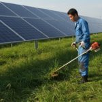太陽光発電の周りを草刈りしている