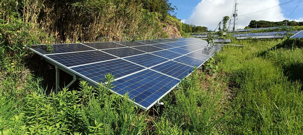 草に埋もれている太陽光発電のパネル