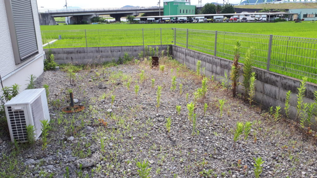 「丁寧に草引き！和歌山市の庭を美しく保つプロの技」