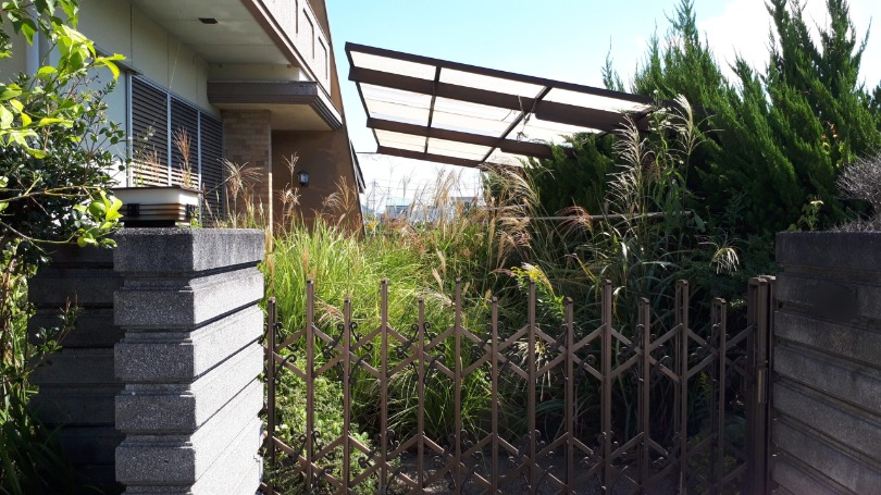 「【有田市】ご親族様も安心！空き家の庭の草刈り＆除草剤散布」