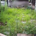 草ぼうぼうの家の庭