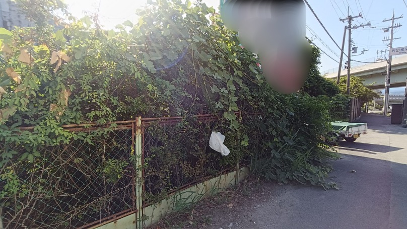 和歌山県岩出市の貸し看板まわりがツタと草木で覆われている作業前の様子