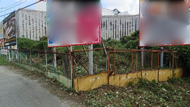 フェンスまわりのツタや雑草がなくなり地面が見えるようになった貸し看板周辺
