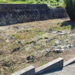 大阪府熊取町の庭掃除完了後。伐採と草刈りにより地面が見えるほどスッキリした様子