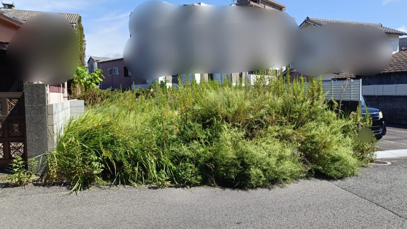 和歌山市湊御殿の空き地が背丈以上の雑草で一面覆われている様子