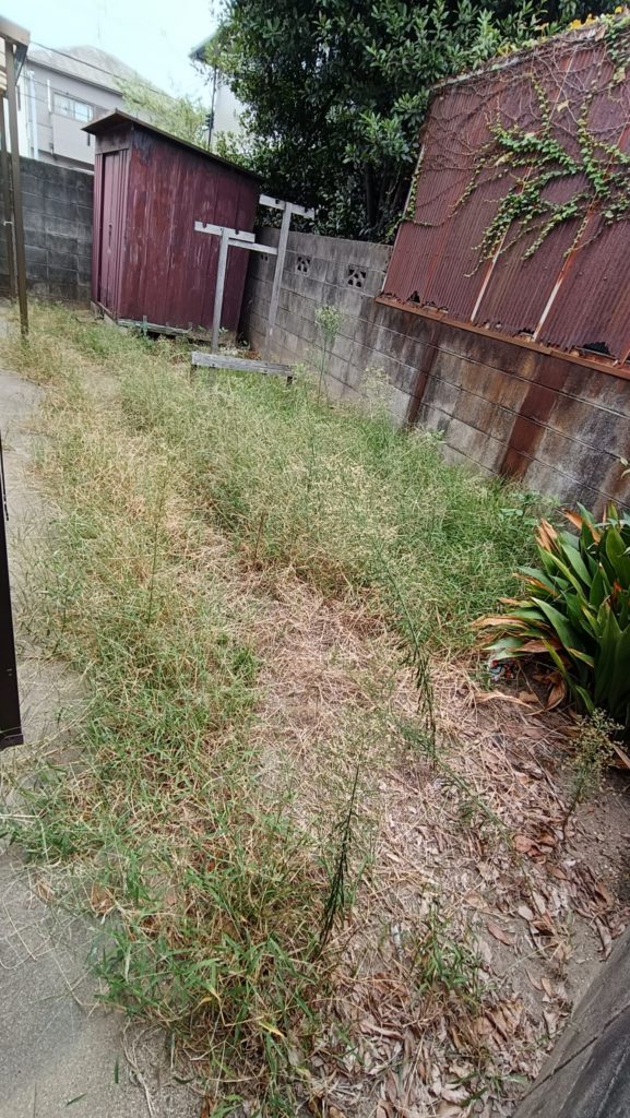 和歌山市西小二里の空き家になっているご実家の庭で草刈り・草引きを行いました【庭の片付け事例】🌿🏠