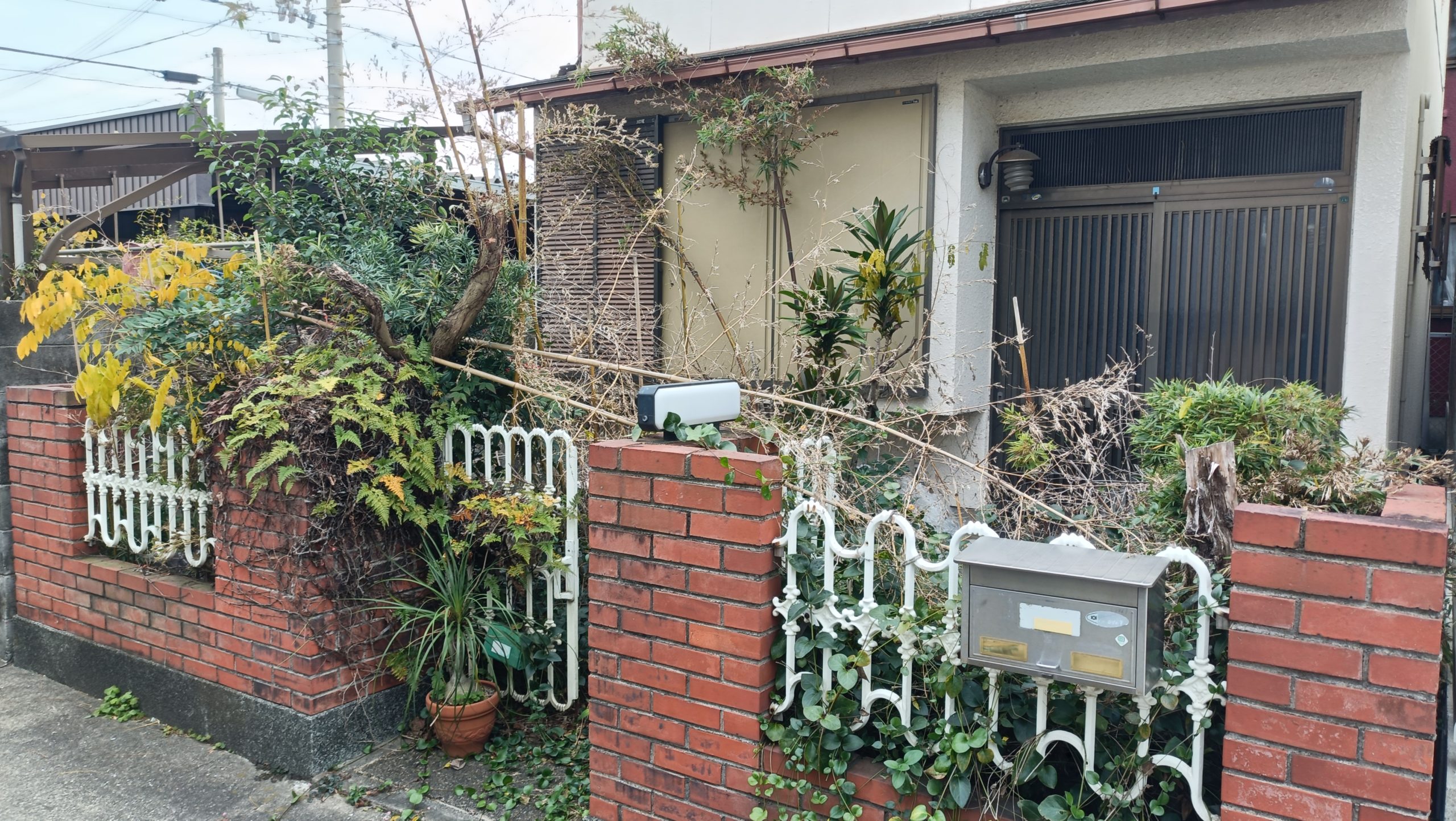 和歌山市西高松の空き家の玄関前で竹や草が生い茂った庭の様子